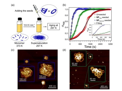Novel Method to Manipulate Supramolecular Polymer Growth