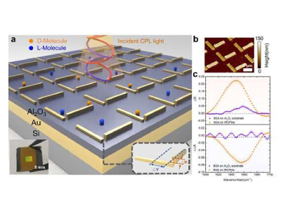 Promising New Chiral Sensing Platform Developed