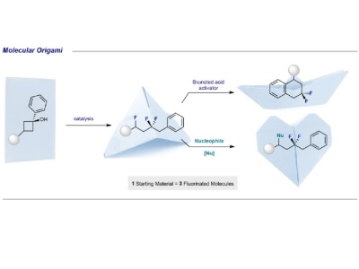 Cascading Reaction for Cost-Effective Fluorinated Molecules
