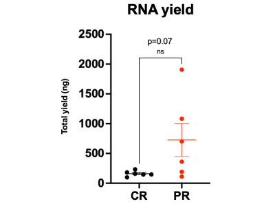 Concentrating RNA Using Merck Amino Filter Units