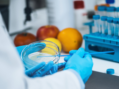 Para-Cresol Human Odorant Receptor Identified for the First Time