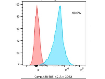 CD63 Antibody for Characterization of Extracellular Vesicle Marker