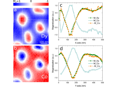 Utilizing X-Ray Microscopy to Classify Domain Wall Types