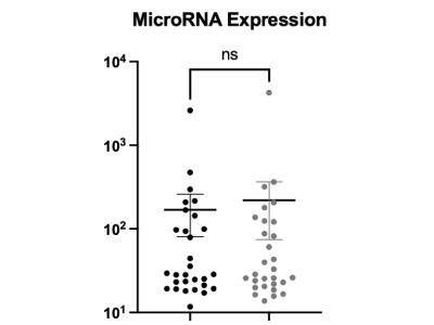 | Labcompare Product Review. Preparing cDNA Using The TaqMan MicroRNA ...