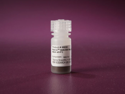 Magnetic Beads for Immunopurification