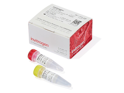 | Labcompare Product Review. Lipofectamine 3000 Reagent | Labcompare.com