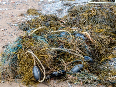 Leveraging Raman to Unlock the Secrets of Microplastic Identification