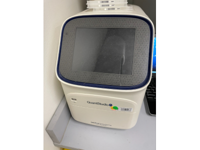 Real-Time PCR System