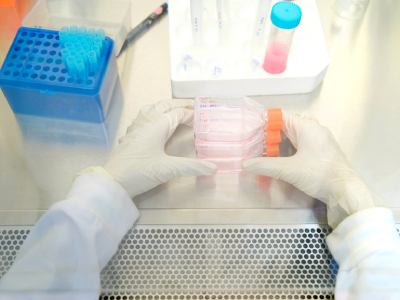 5 Steps to a Biosafe Lab