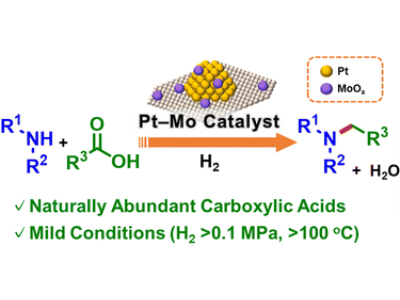 Novel Method Developed for Sustainable Alkylamine Synthesis
