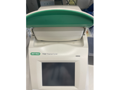 Excellent Thermal Cycler