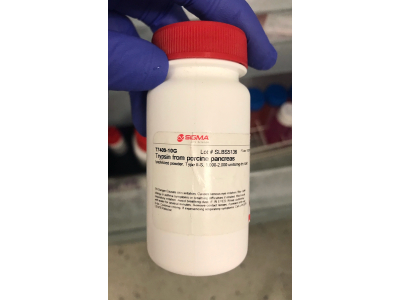 Lyophilised Trypsin for adherent cells