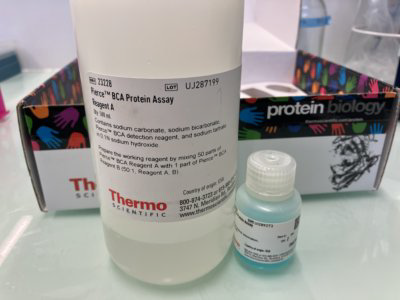 Fast and Complete Kit for Proteins Quantification