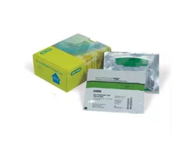 Precast Western Blot Gels
