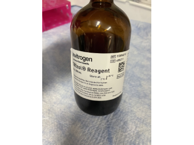 Trizol Reagent for Effective RNA Isolation