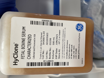 Serum for Cell Culture