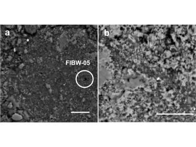Electron Microscope Reveals Extraterrestrial Amino Acids and Hydrocarbons Without Chemical Treatment