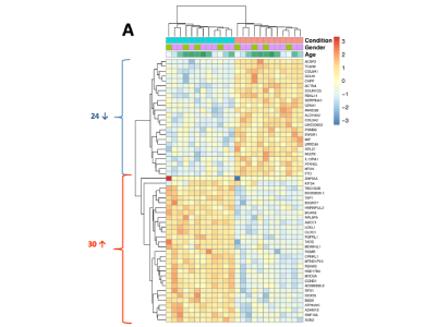 Library Preparation for RNASeq Using TruSeq Stranded mRNA