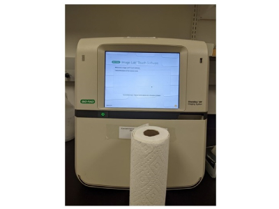 Fast and Simple Documentation of Western Blots Using ChemiDoc™ MP Imaging System