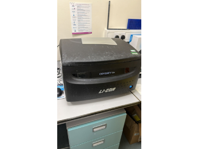 Excellent Protein Detection System for Western Blot