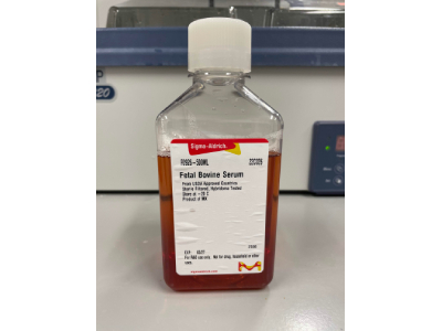 Fetal Bovine Serum for Cell Culture