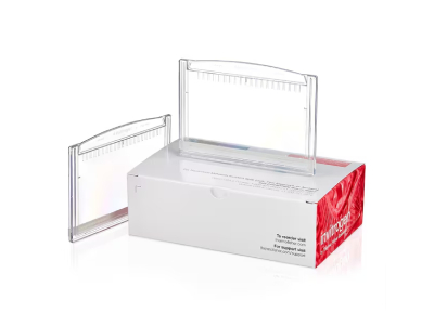 Bis-Tris Midi Gels for SDS-PAGE