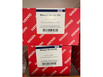 RNA Purification Kit from QIAGEN