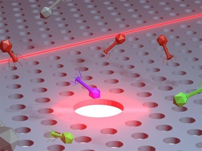 Nanotweezers Advance Phage Therapy