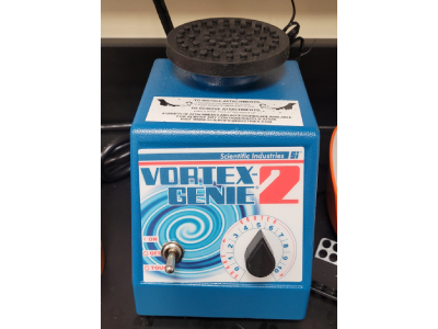 The Little Mixer With a Lot of Power!
