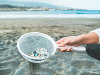 Research Team Develops Novel Plant-Based Polymers That Biodegrade Within Seven Months