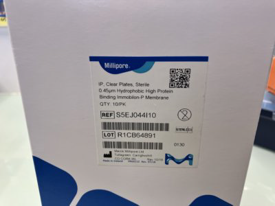 Reliable PVDF Elispot Plates