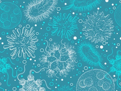 Building on the Success of Wastewater-based Epidemiology