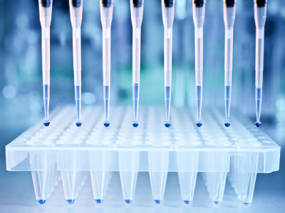 Selection of the Ideal PCR Type for Research and Testing