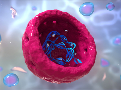  From Laboratory to Clinic: Unlocking the Potential of Exosome Research