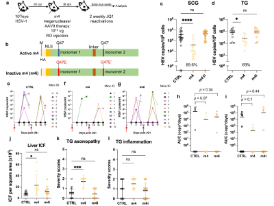 Researchers Discover Novel Gene Therapy to Target Herpes Simplex Virus