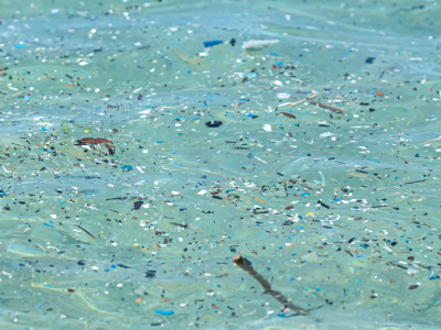 SERS-Based Method Simplifies Microplastic Monitoring