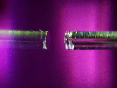 613360.jpg
