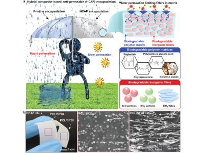 Researchers Discover Method To Control Biodegradable Electronics Degradation Rate