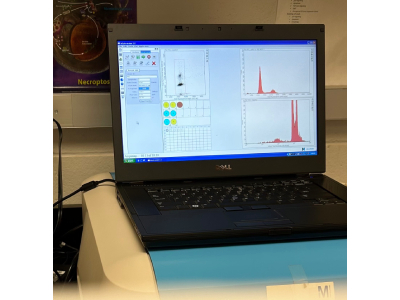 Best Flow Cytometer for Cell Cycle Analysis