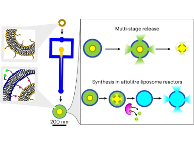 Novel “Russian Doll” Delivery System Could Increase Drug Delivery Efficacy
