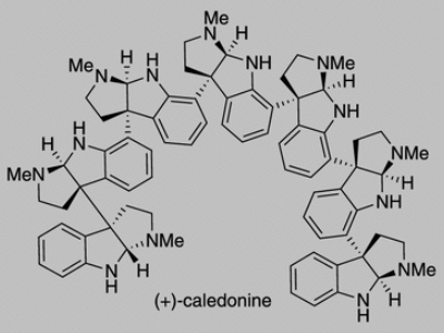 MIT Chemists Developed Novel Synthesis Method For Promising Pharmaceutical Compound