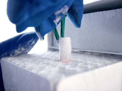 How Next-Generation Freezers Are Reducing Risk In CGT Research