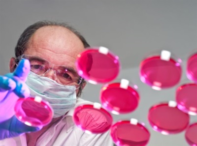 Do’s and Don’ts of Cell Culturing