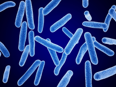 Scientists Discover Genetic Factors Responsible For Cholera Transmission And Severity