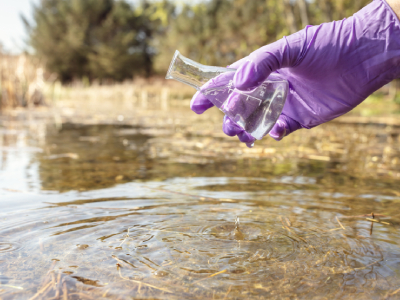 New Research Finds That Mixing Forever Chemicals Increases Toxicity