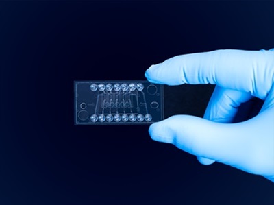 Microfluidics System Streamlines Biomolecular Analysis Workflows