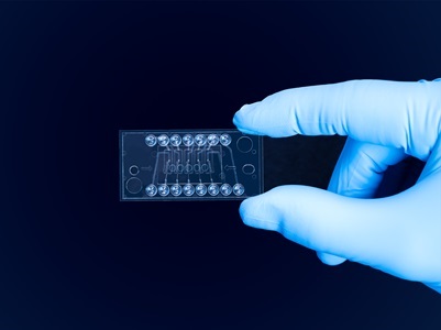Microfluidics System Streamlines Biomolecular Analysis Workflows