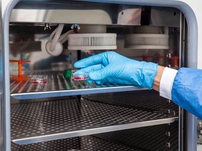 Creative Approaches, Advanced Incubators Critical to Advancing Cell Therapies
