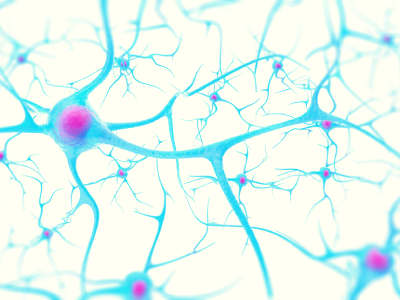New Chemical Tag Provides Deeper Insight Into Parkinson's Disease