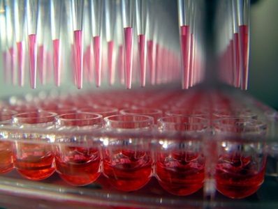Buyer’s Guide: Future-proofing Your Automated Liquid Handling System Investment